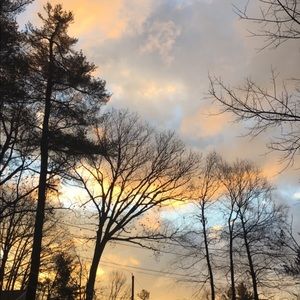 Meet your Posher, Mary ellen